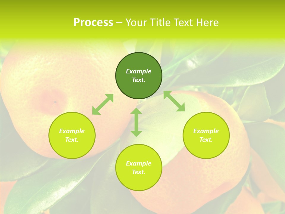 Nature Tangerine Fruit PowerPoint Template