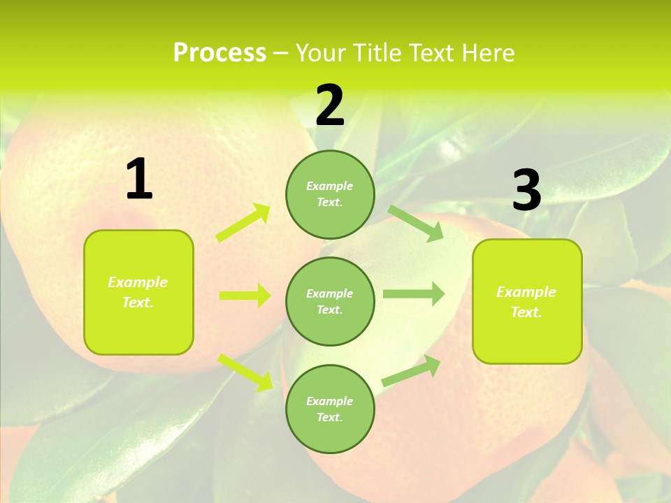 Nature Tangerine Fruit PowerPoint Template
