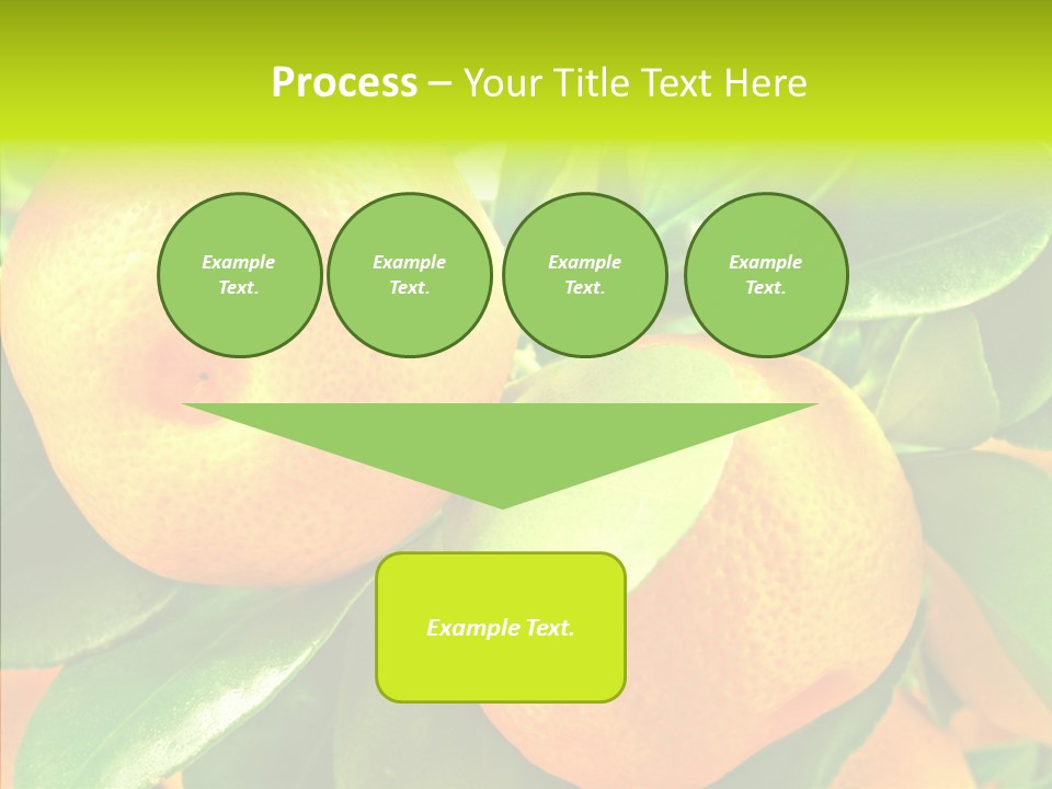 Nature Tangerine Fruit PowerPoint Template