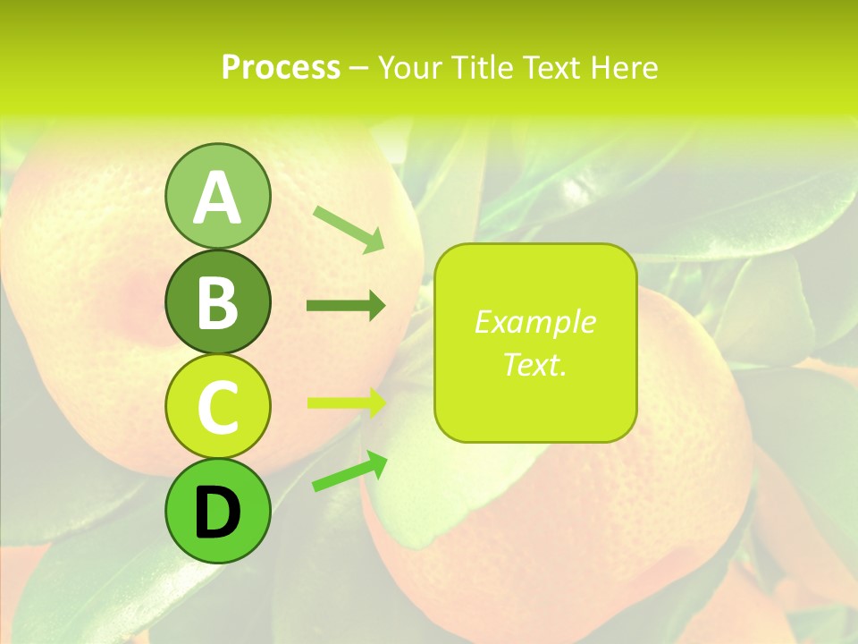 Nature Tangerine Fruit PowerPoint Template