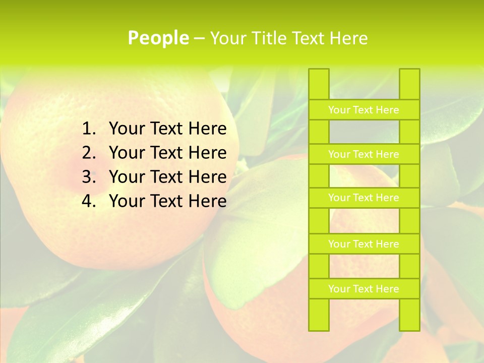 Nature Tangerine Fruit PowerPoint Template