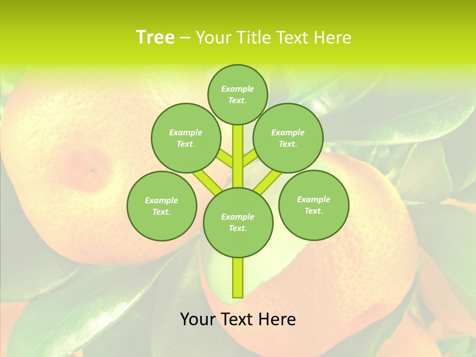 Nature Tangerine Fruit PowerPoint Template