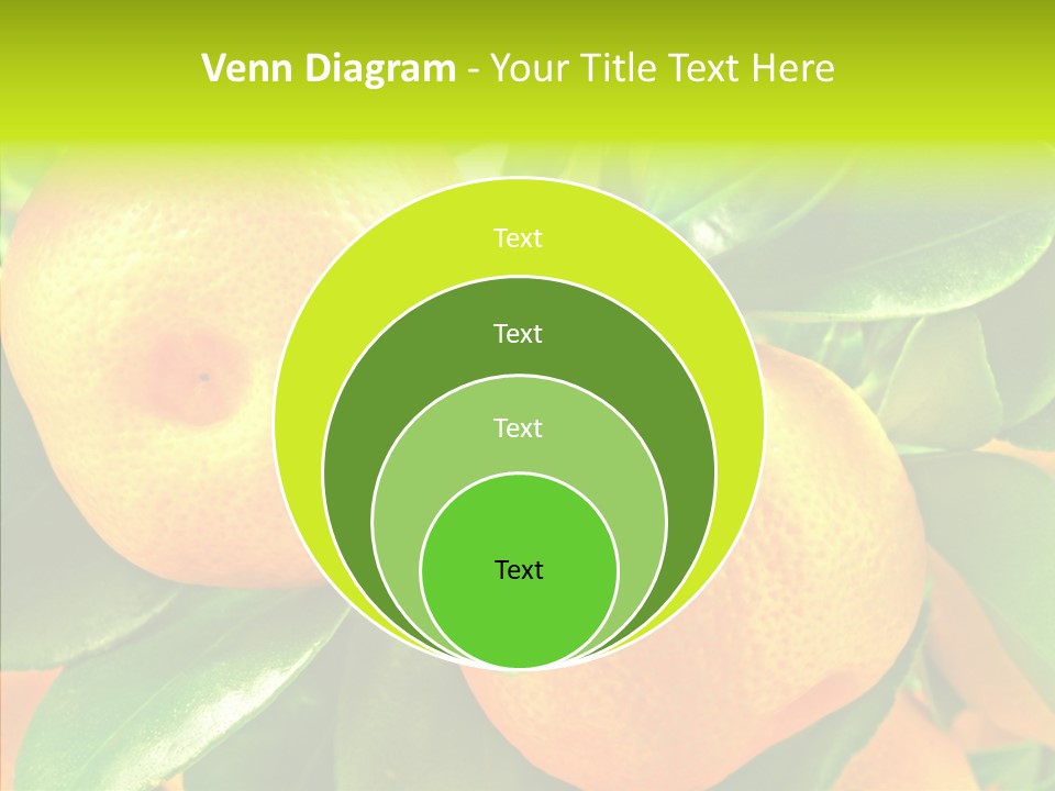 Nature Tangerine Fruit PowerPoint Template