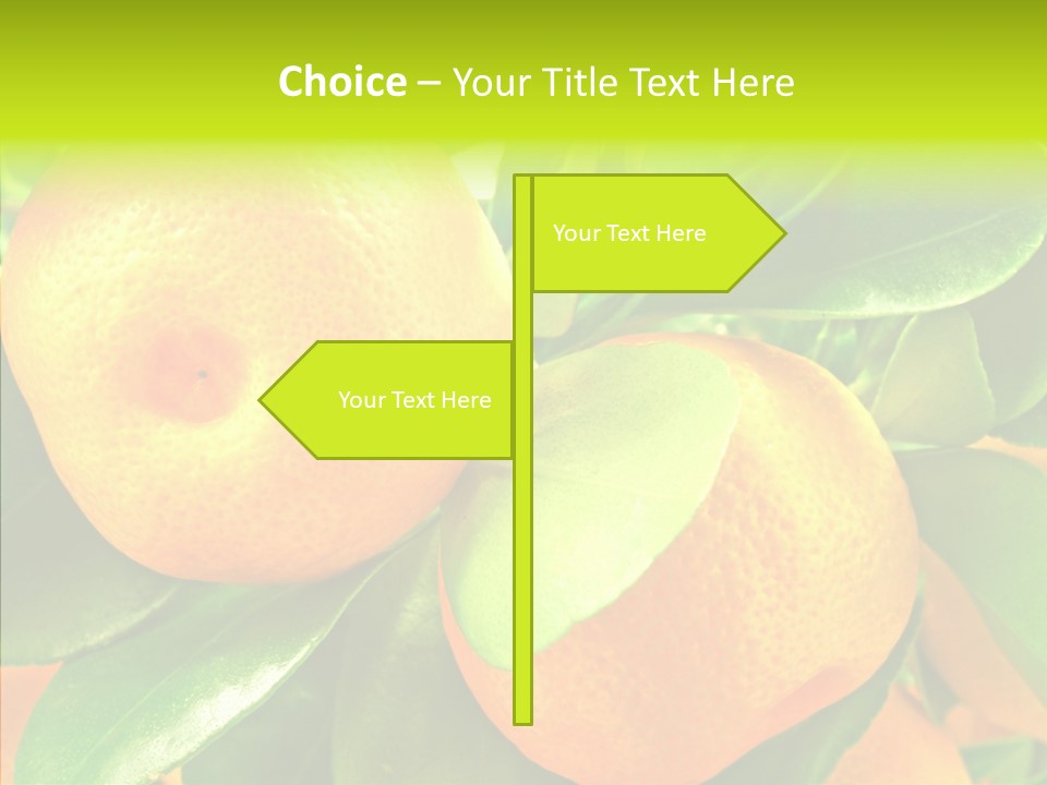 Nature Tangerine Fruit PowerPoint Template