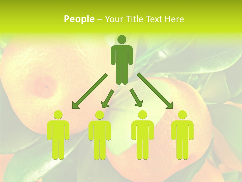 Nature Tangerine Fruit PowerPoint Template