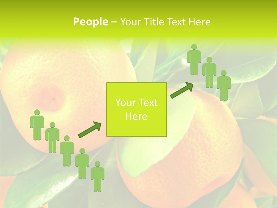 Nature Tangerine Fruit PowerPoint Template