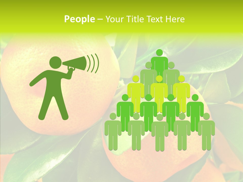 Nature Tangerine Fruit PowerPoint Template
