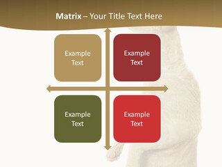 Cat Pet Inquisitive PowerPoint Template