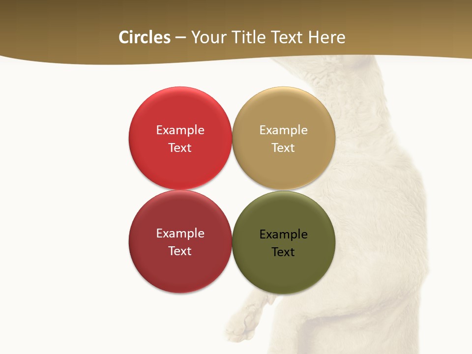 Cat Pet Inquisitive PowerPoint Template