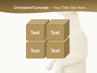 Cat Pet Inquisitive PowerPoint Template