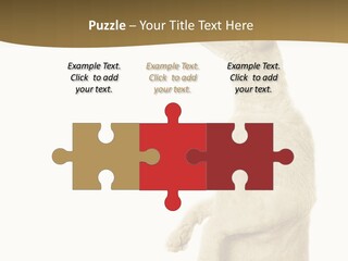 Cat Pet Inquisitive PowerPoint Template