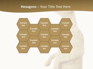 Cat Pet Inquisitive PowerPoint Template