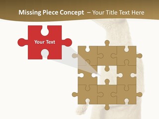 Cat Pet Inquisitive PowerPoint Template