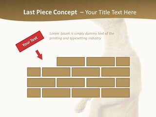 Cat Pet Inquisitive PowerPoint Template