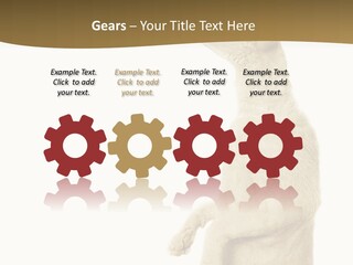 Cat Pet Inquisitive PowerPoint Template