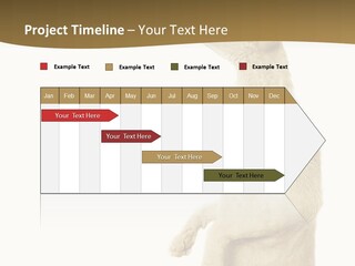 Cat Pet Inquisitive PowerPoint Template