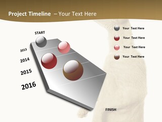 Cat Pet Inquisitive PowerPoint Template