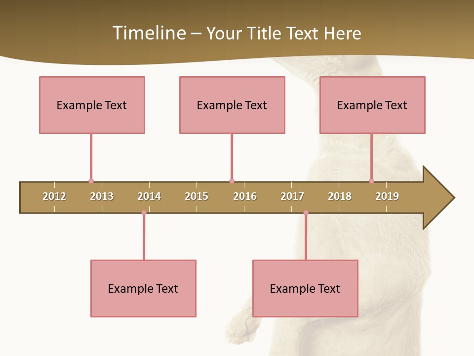 Cat Pet Inquisitive PowerPoint Template