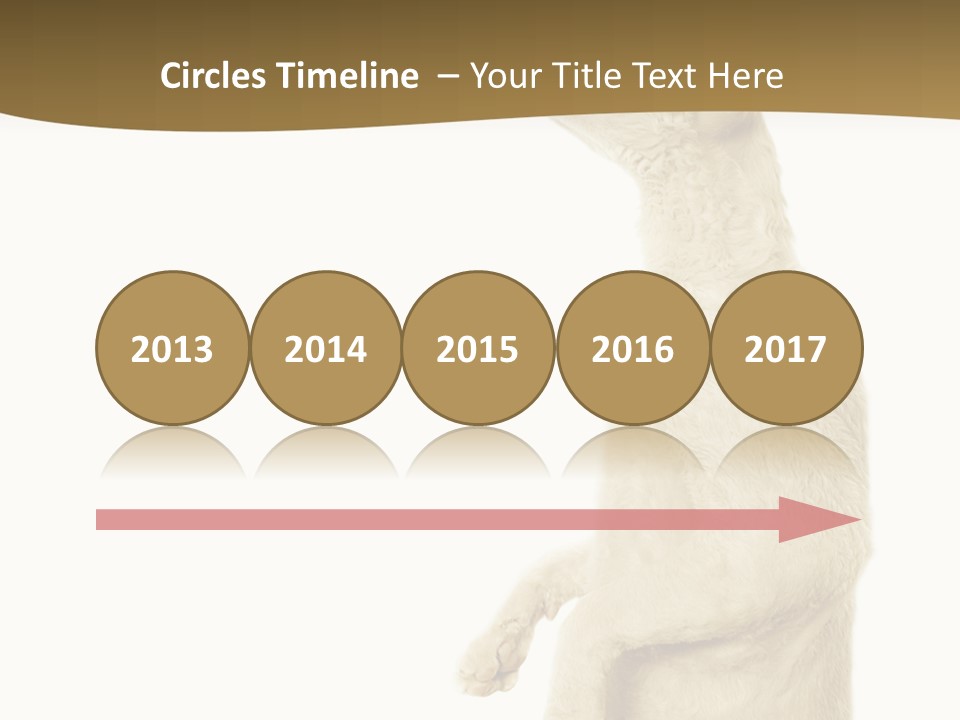 Cat Pet Inquisitive PowerPoint Template