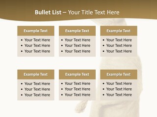 Cat Pet Inquisitive PowerPoint Template