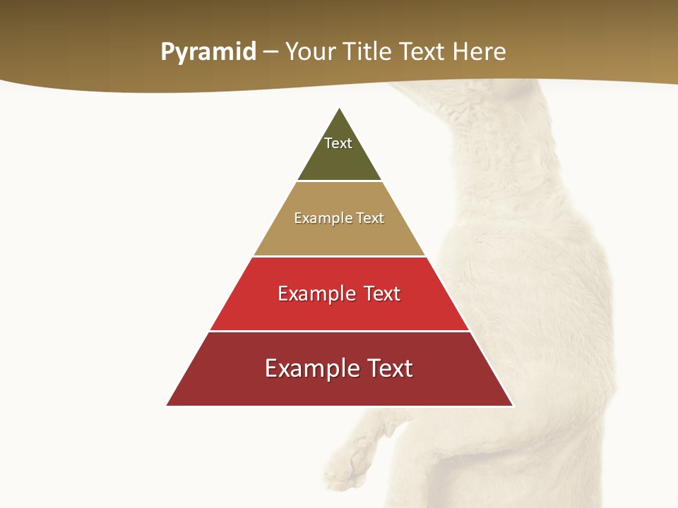 Cat Pet Inquisitive PowerPoint Template