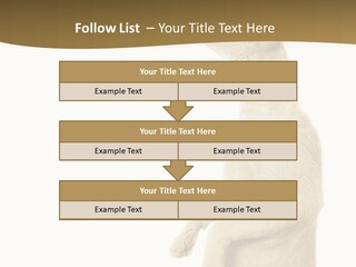 Cat Pet Inquisitive PowerPoint Template