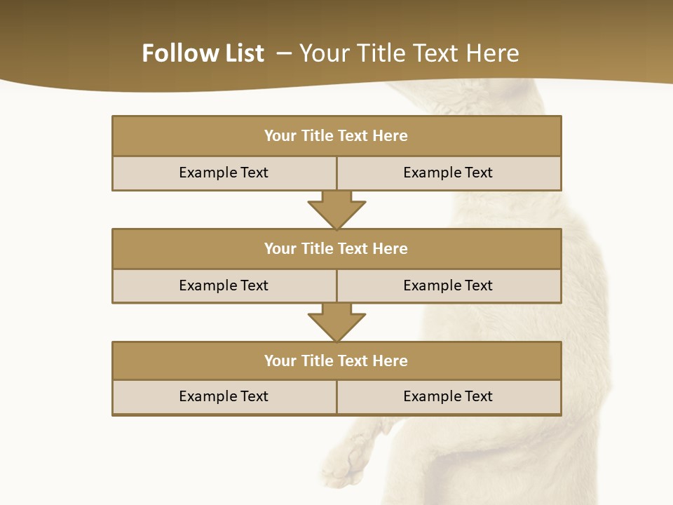 Cat Pet Inquisitive PowerPoint Template