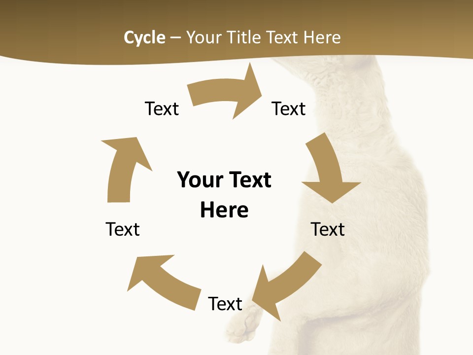 Cat Pet Inquisitive PowerPoint Template
