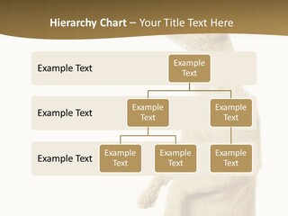 Cat Pet Inquisitive PowerPoint Template