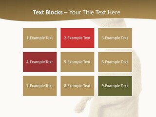 Cat Pet Inquisitive PowerPoint Template
