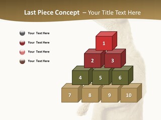 Cat Pet Inquisitive PowerPoint Template