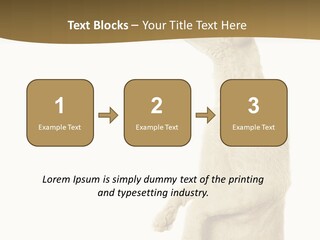 Cat Pet Inquisitive PowerPoint Template