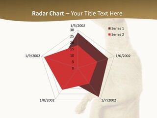 Cat Pet Inquisitive PowerPoint Template