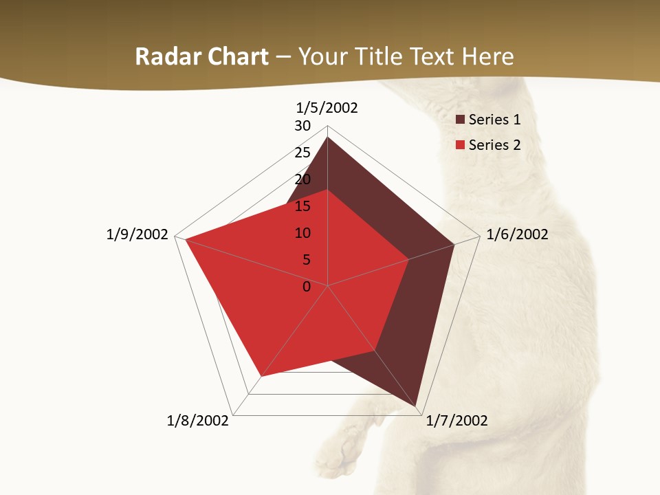 Cat Pet Inquisitive PowerPoint Template