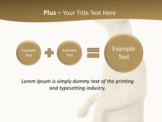 Cat Pet Inquisitive PowerPoint Template