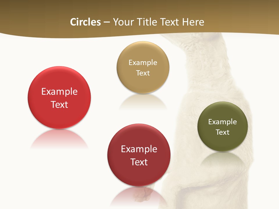 Cat Pet Inquisitive PowerPoint Template
