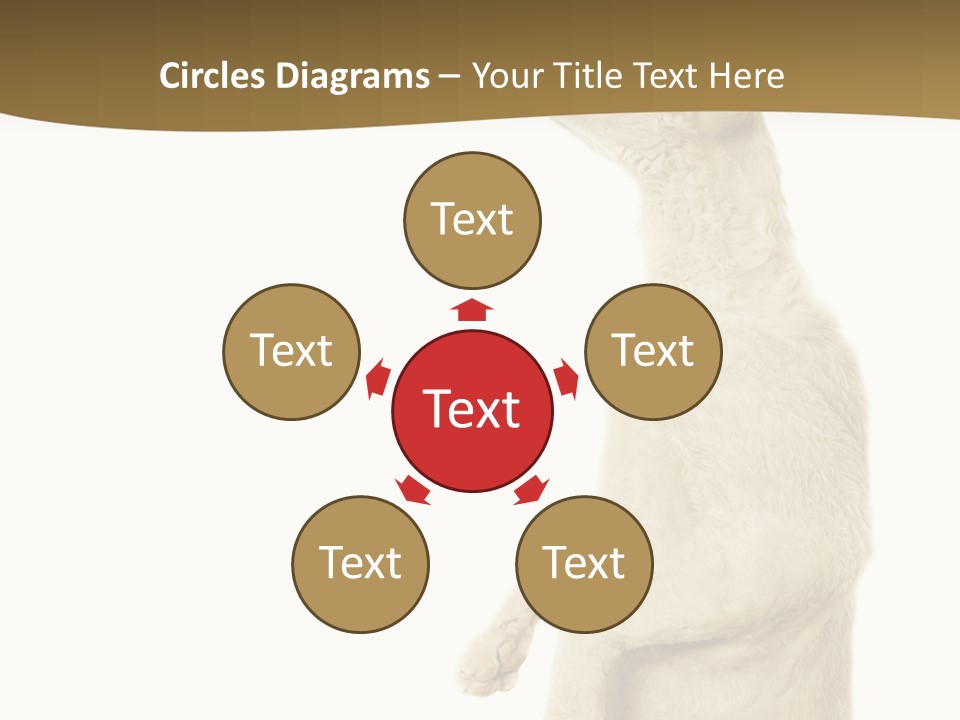 Cat Pet Inquisitive PowerPoint Template