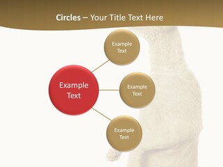 Cat Pet Inquisitive PowerPoint Template
