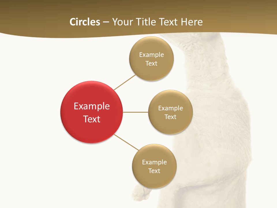 Cat Pet Inquisitive PowerPoint Template