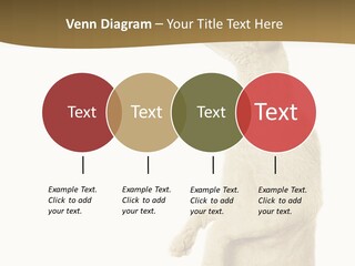 Cat Pet Inquisitive PowerPoint Template