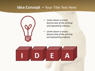 Cat Pet Inquisitive PowerPoint Template