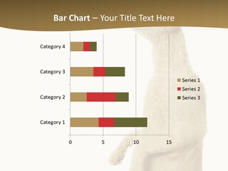 Cat Pet Inquisitive PowerPoint Template