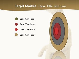 Cat Pet Inquisitive PowerPoint Template