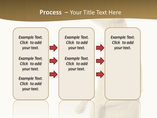 Cat Pet Inquisitive PowerPoint Template