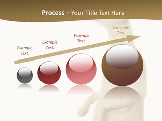 Cat Pet Inquisitive PowerPoint Template
