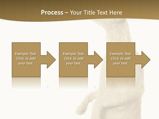 Cat Pet Inquisitive PowerPoint Template