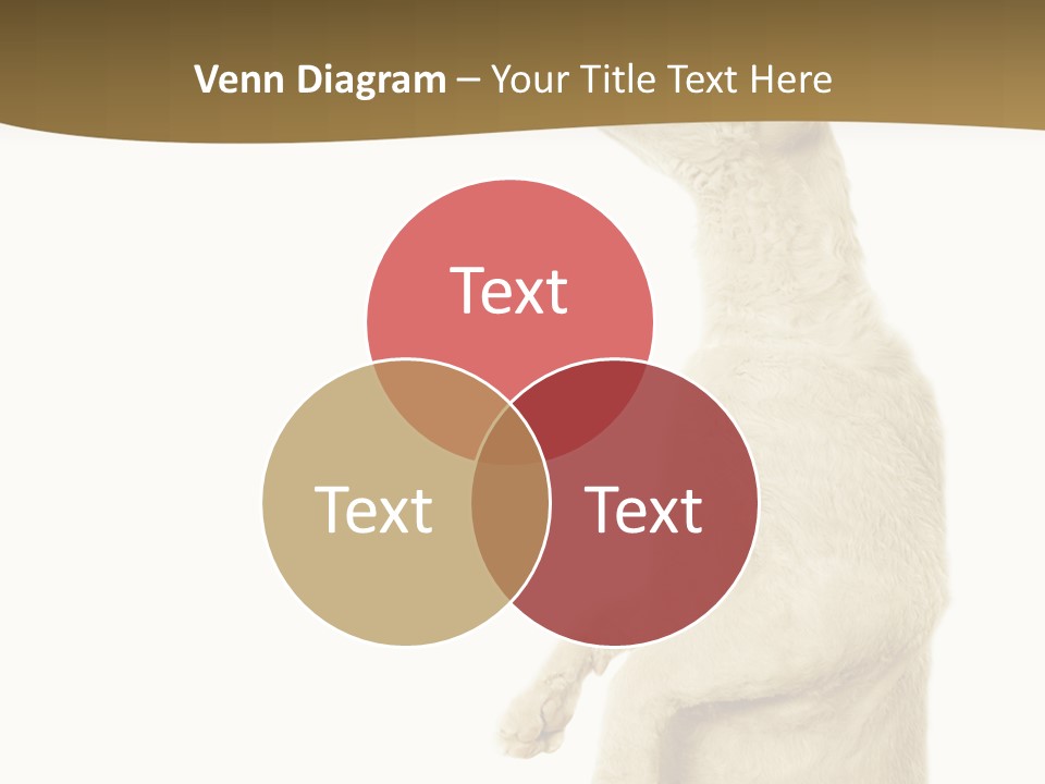 Cat Pet Inquisitive PowerPoint Template
