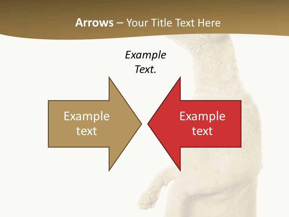 Cat Pet Inquisitive PowerPoint Template