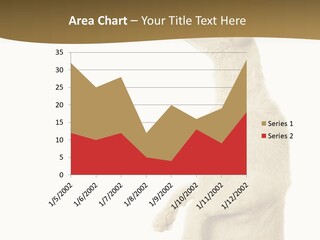 Cat Pet Inquisitive PowerPoint Template