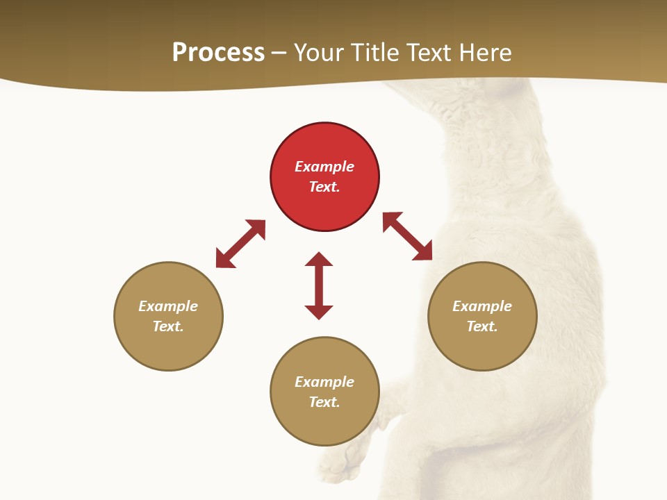 Cat Pet Inquisitive PowerPoint Template
